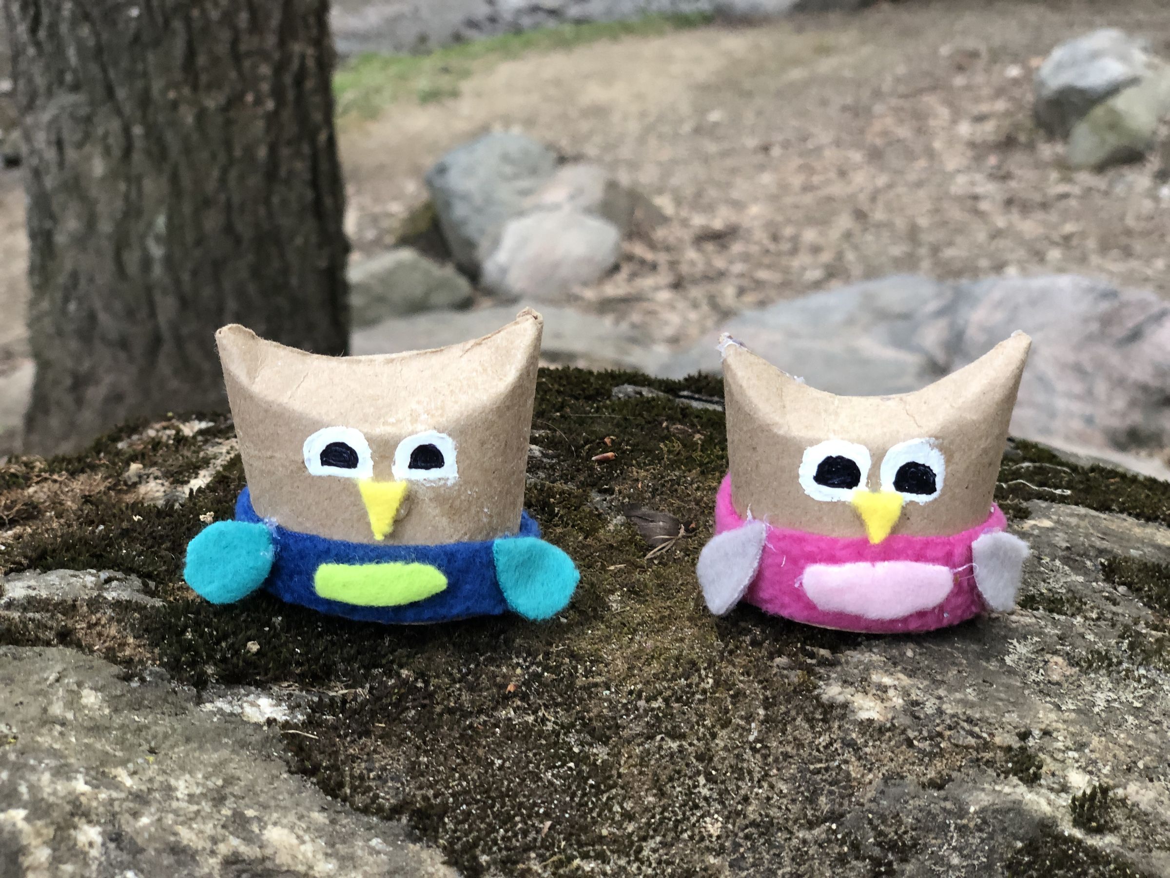 Recycled Cardboard Tube Owls 9 Steps (with Pictures) Instructables