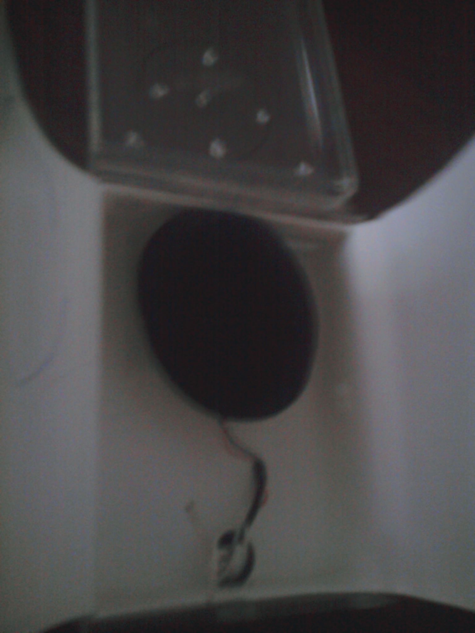 Cheap Portable Speaker