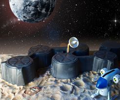 Top Services for New Traders to Succeed in Forex Trading