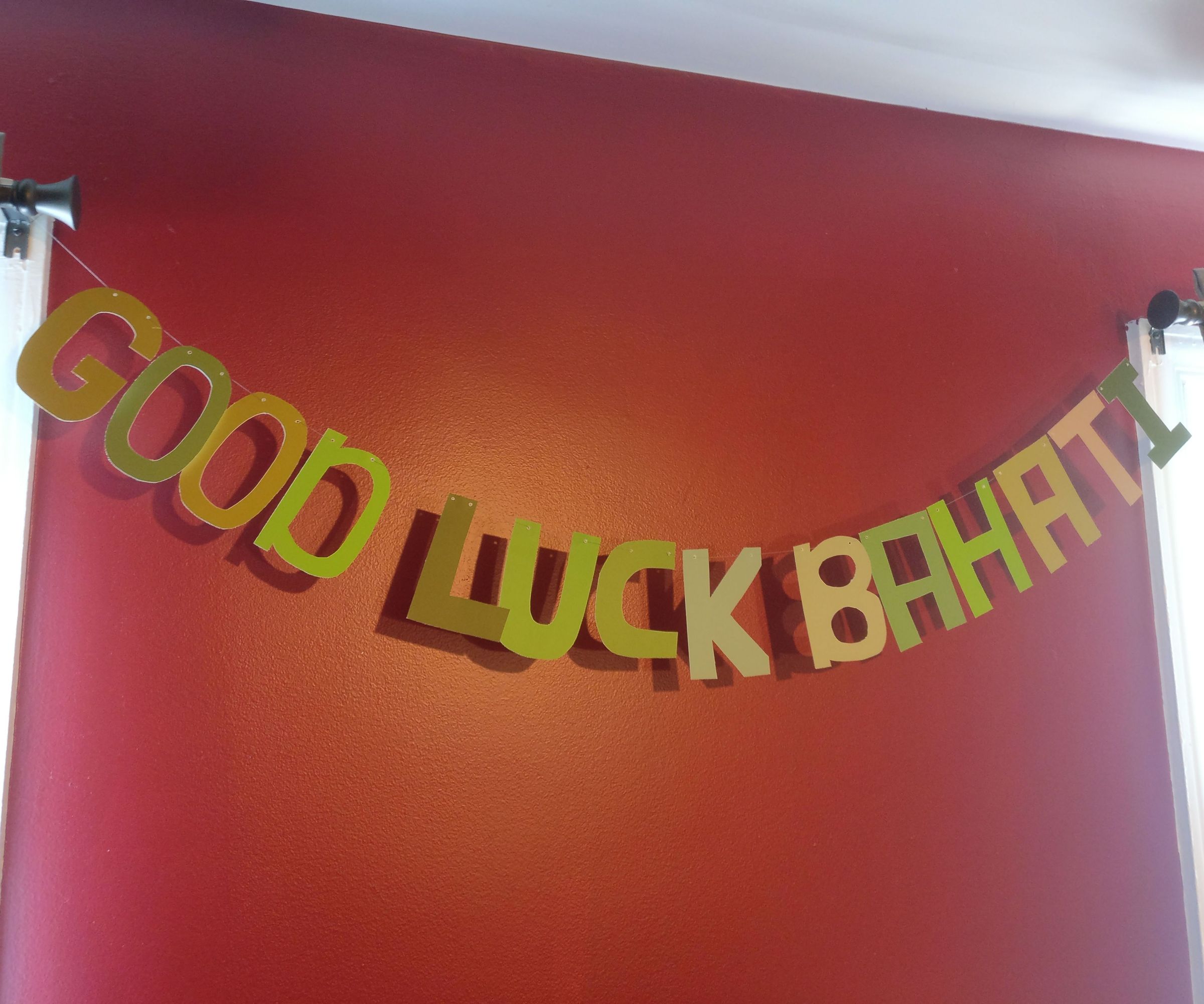 Paint Sample Up-cycle: Banner