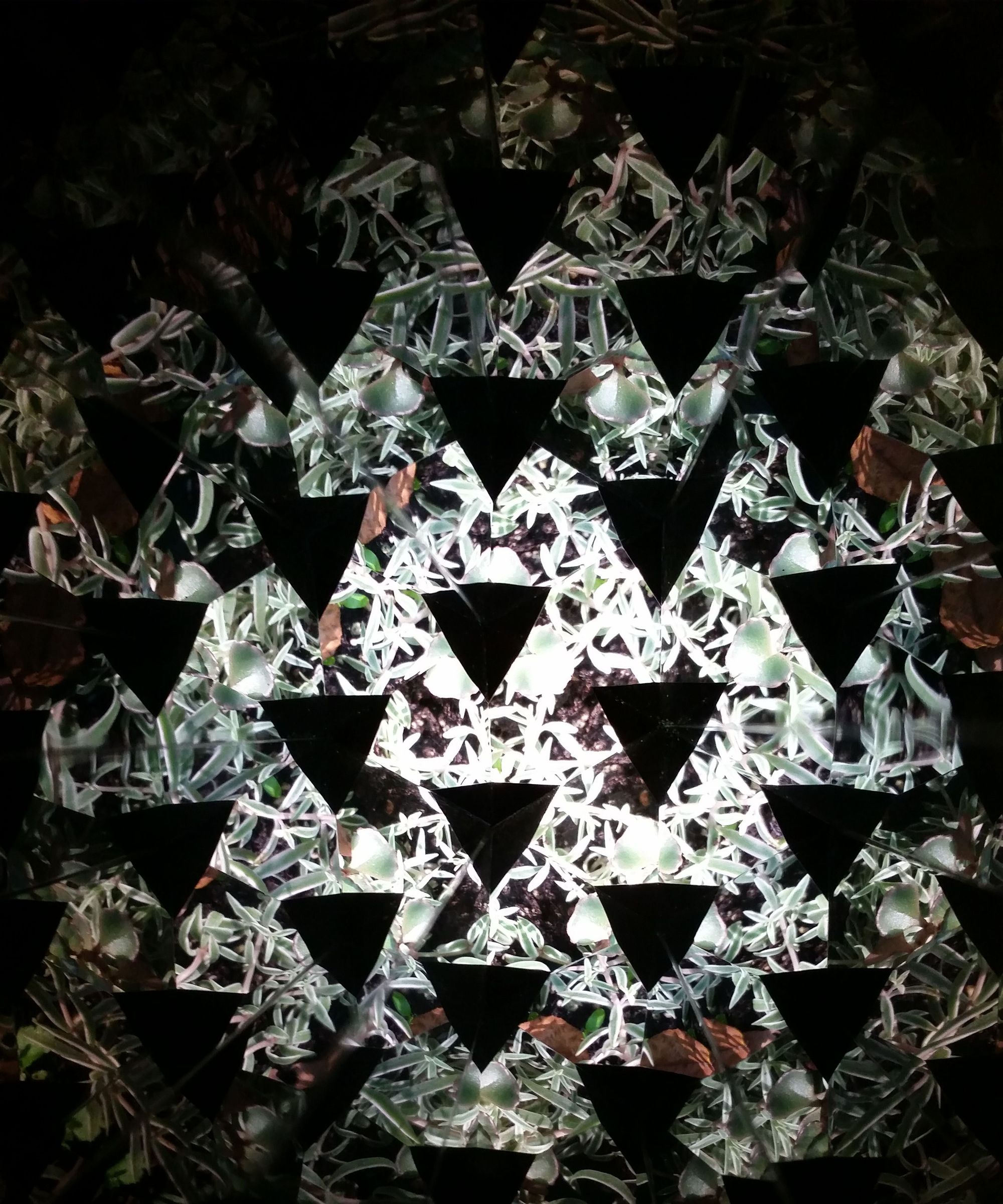 Garden Kaleidoscope