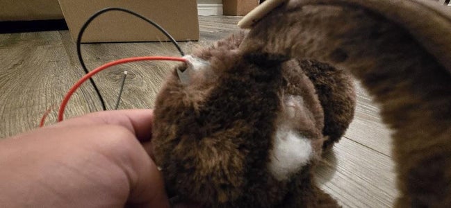 Insert the TEC Into the Pad