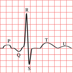 Electrodes and Biosignals - Bringing It All Together