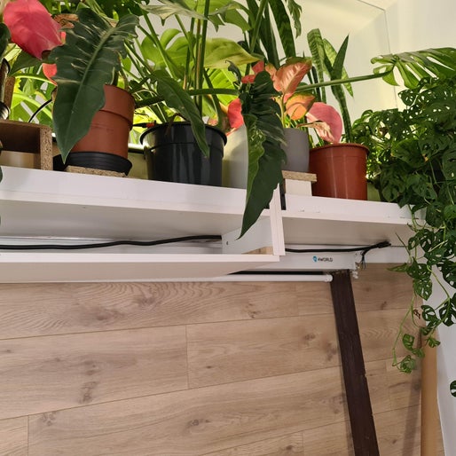 Are You Crazy Enough? Let's Start