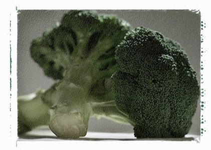 The Health Benefits of Broccoli
