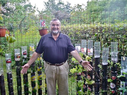 Growing Food in Containers at Home