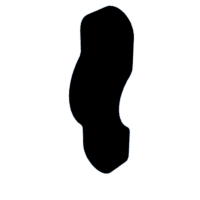 download {{ file.name }}