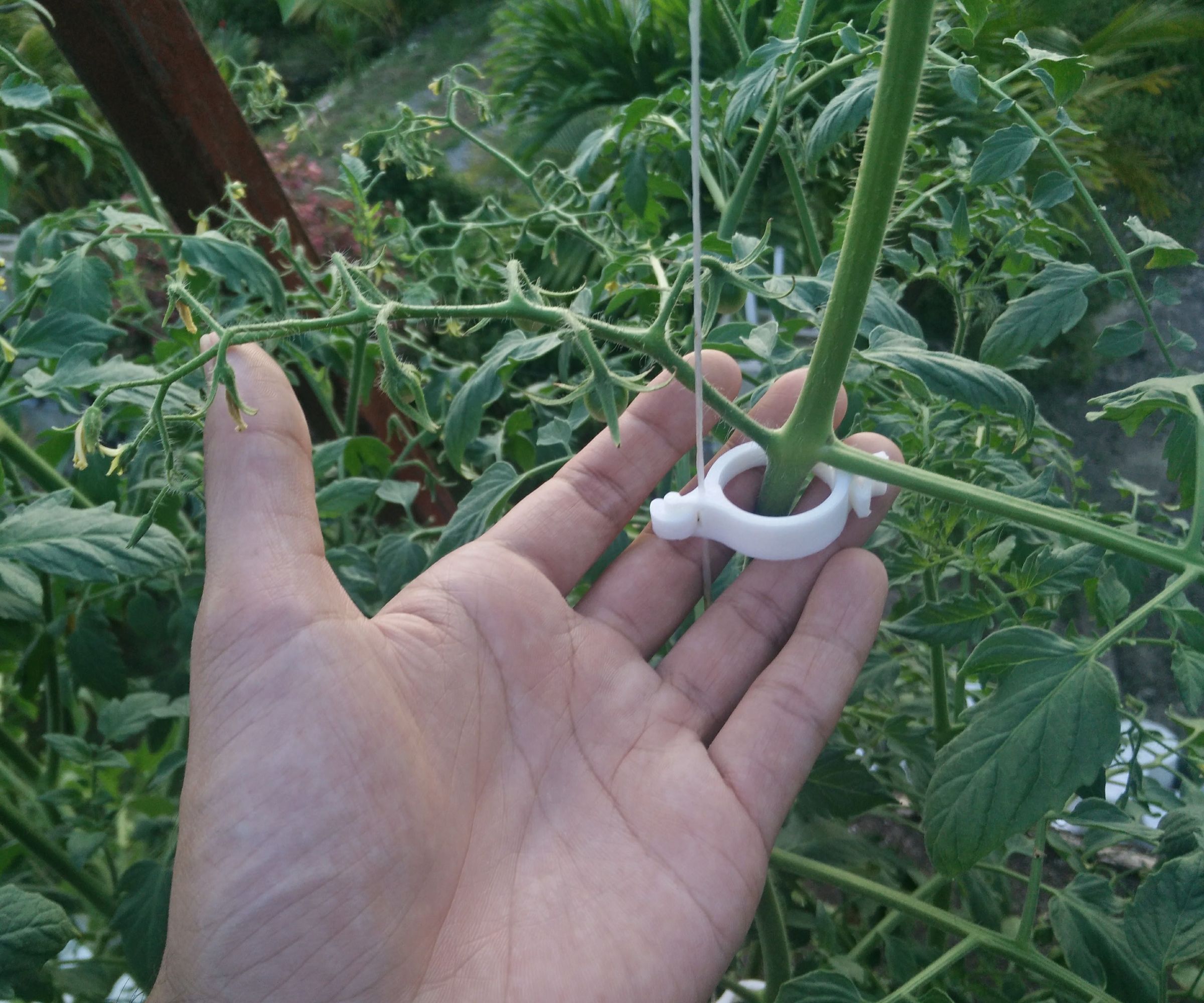 3D Printed Trellis Clip (designed in Fusion 360)