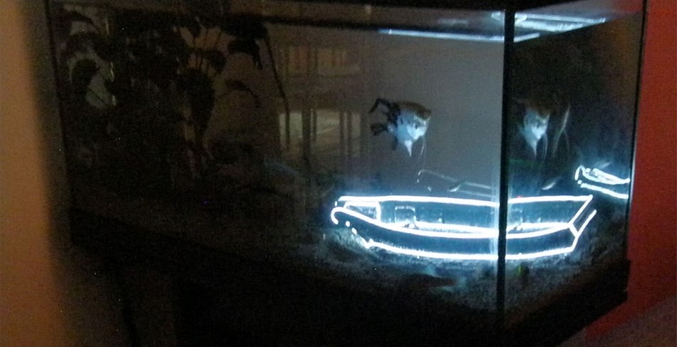 EL-wire Aquarium