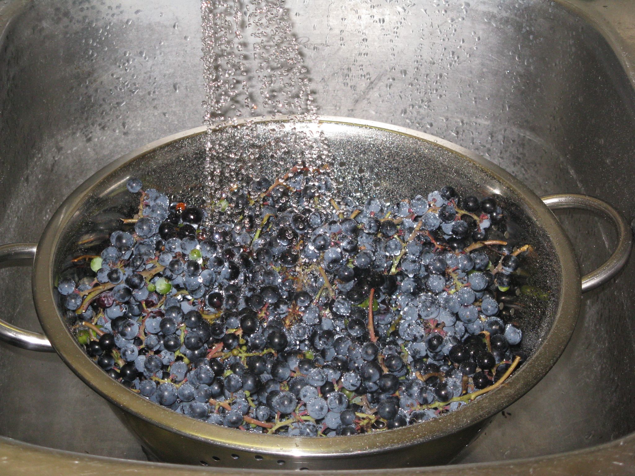 Sugar Free Wild American Grape Jam 6 Steps (with Pictures