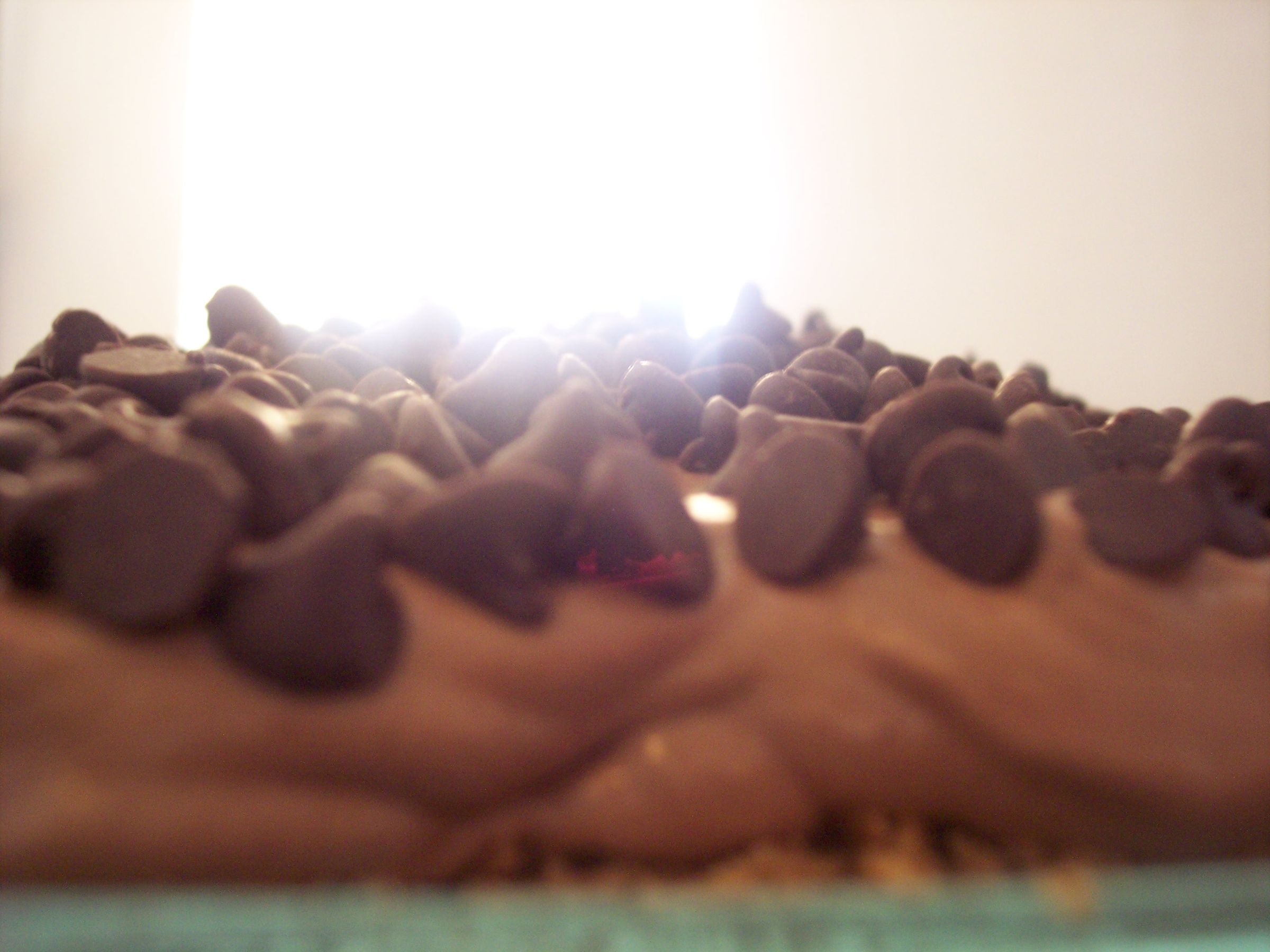 Delectable Smores Pie!!!!!