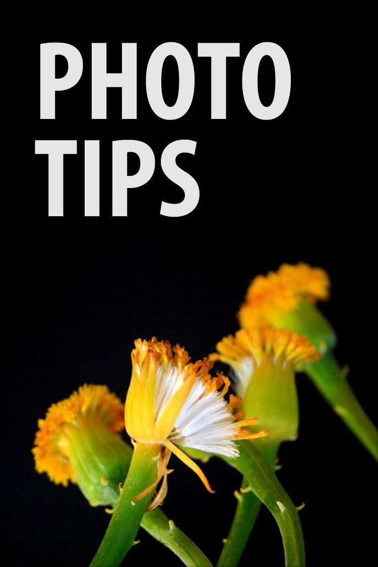 Photo Tips