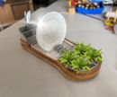 Eco - Planter
