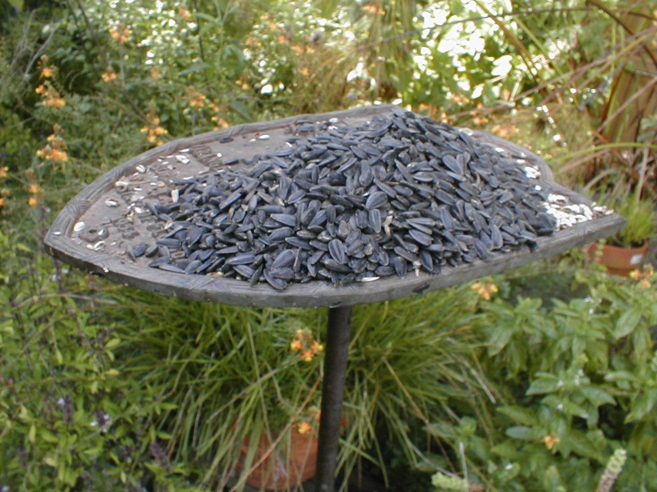 Turn an Old Bronze Plaque Into a Birdfeeder