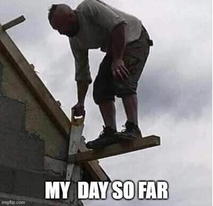 Bird Ladder Repair