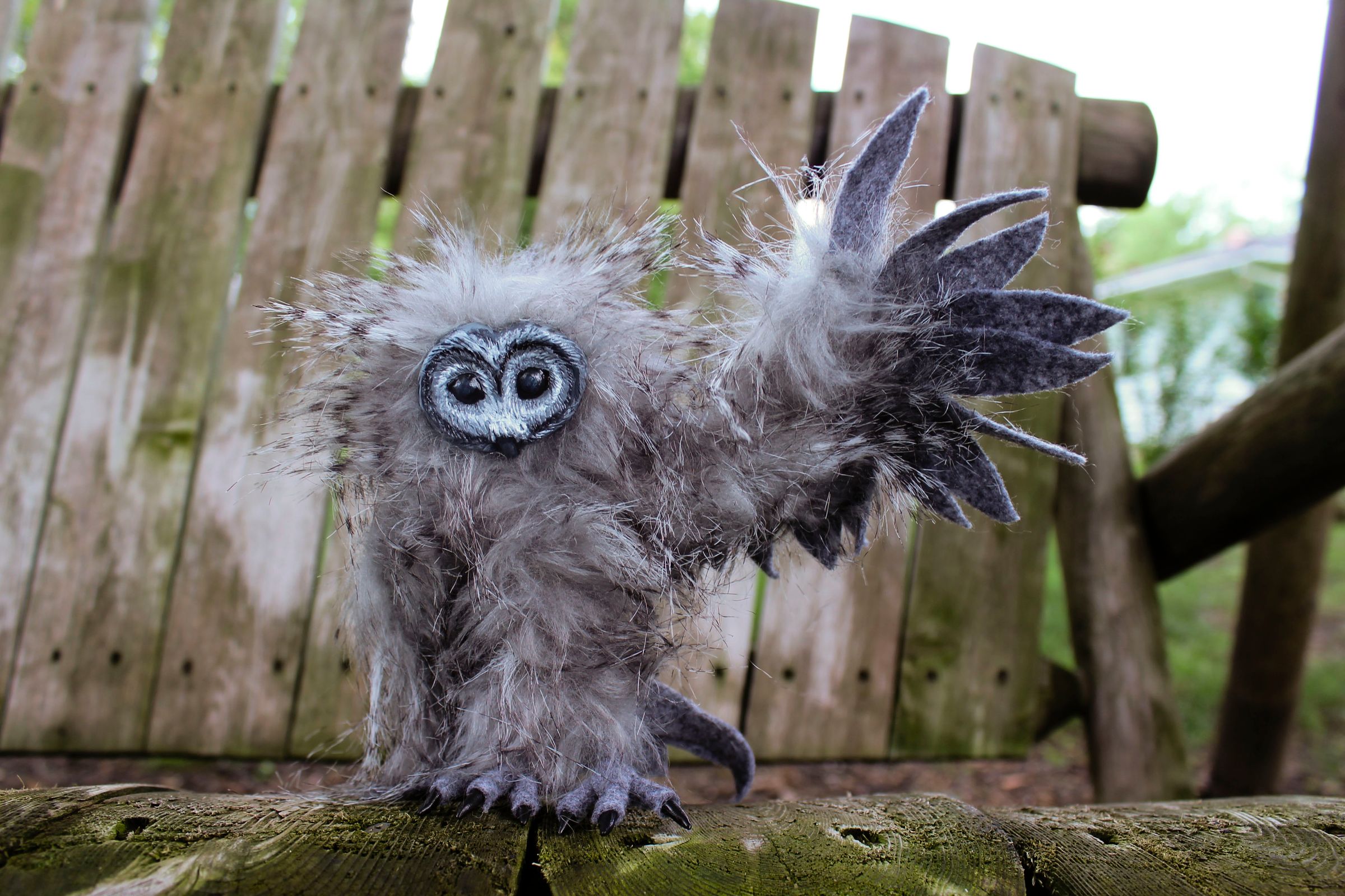 Hello, I'm an Owl!