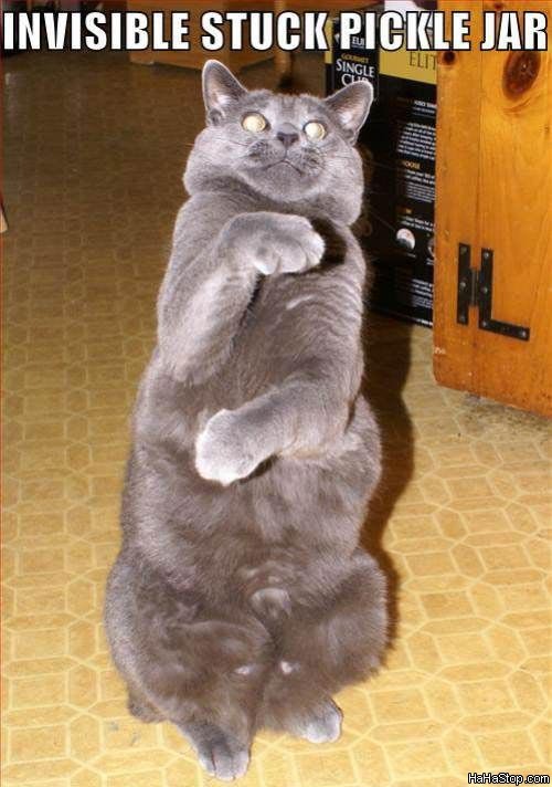 How to Open a Stuck Pickle Jar