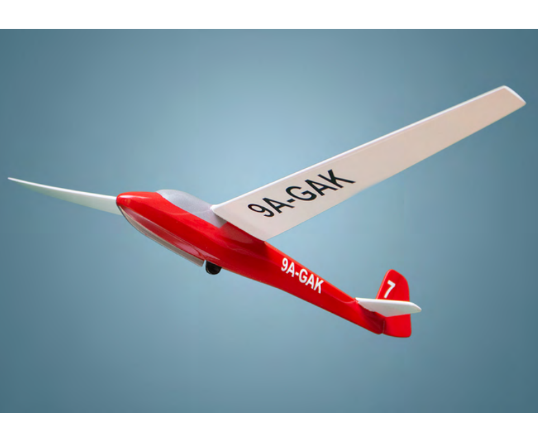 Schleicher Glider 3D Model (printed and Painted)