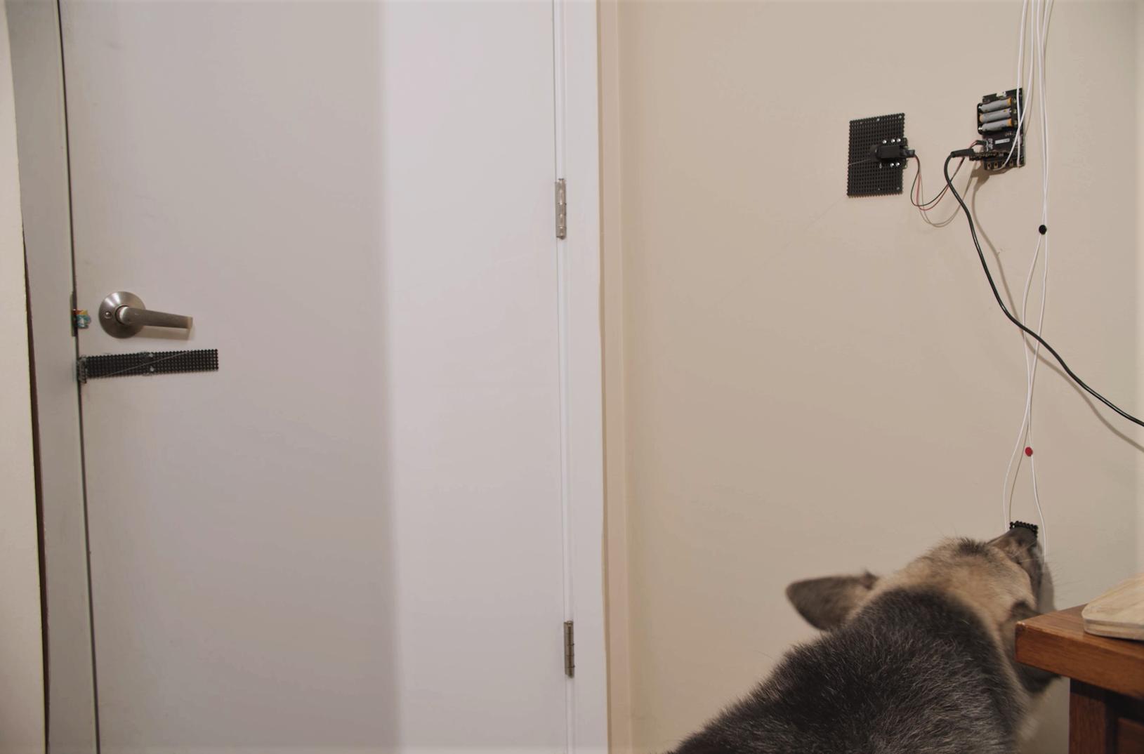 MicroBit Dog Door Opener 8 Steps (with Pictures) Instructables