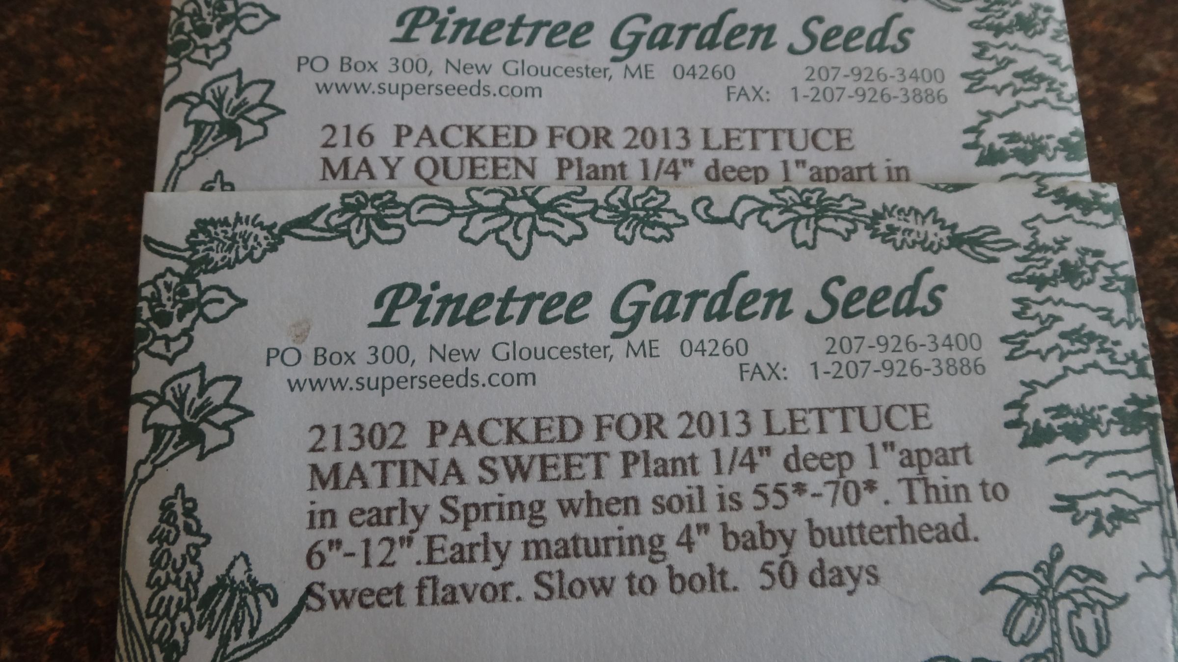 Gardening for the Beginner - How to Grow Lettuce - Instructables