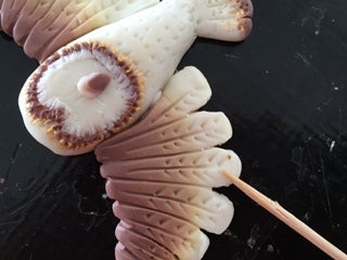 The Beautiful Creature Is Created