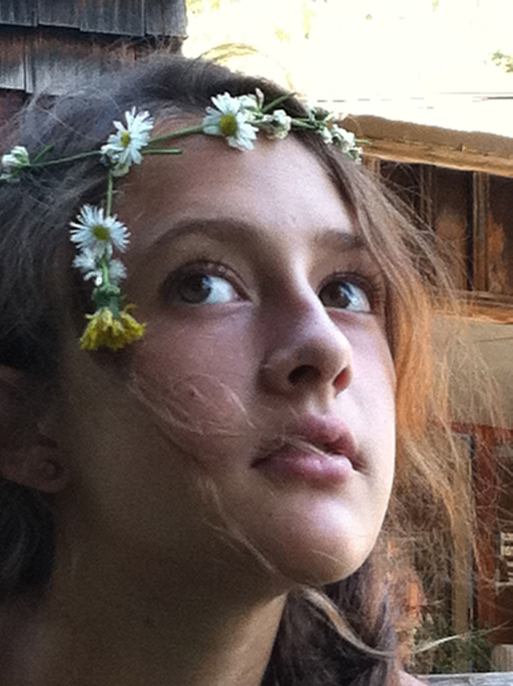 How to Make a Super Simple Daisy(or Other Flower) Chain