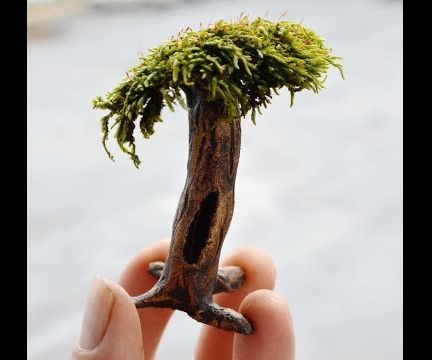 How to Make a Miniature Live Moss Tree