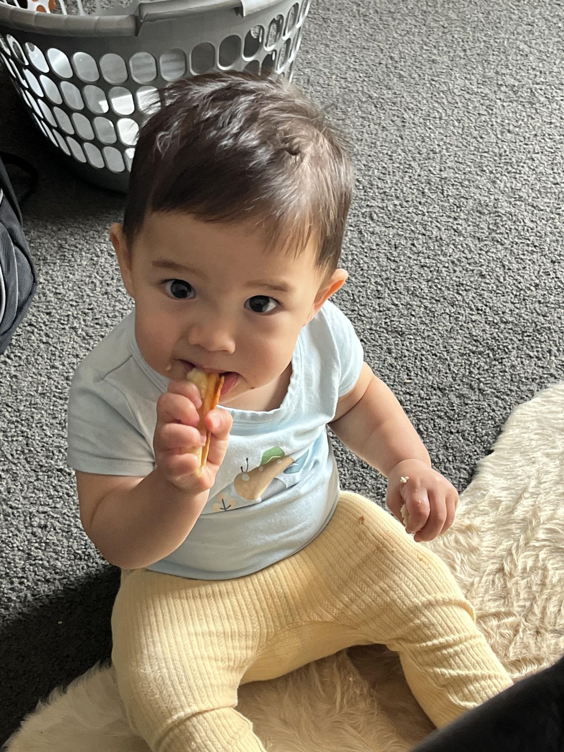 String Light Battery Holder & Dodo Display Shelves Instructables