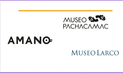 Desarrollo De Conceptos