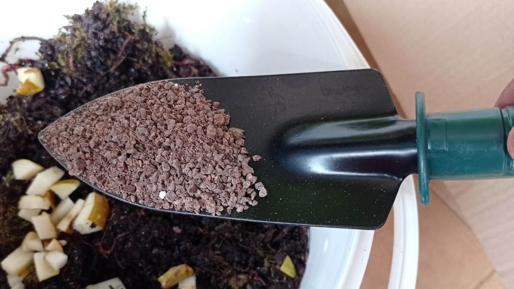 Feed the Worms and Care for Them