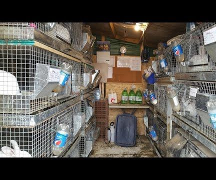 3000lbs of Food From 100 Square Feet