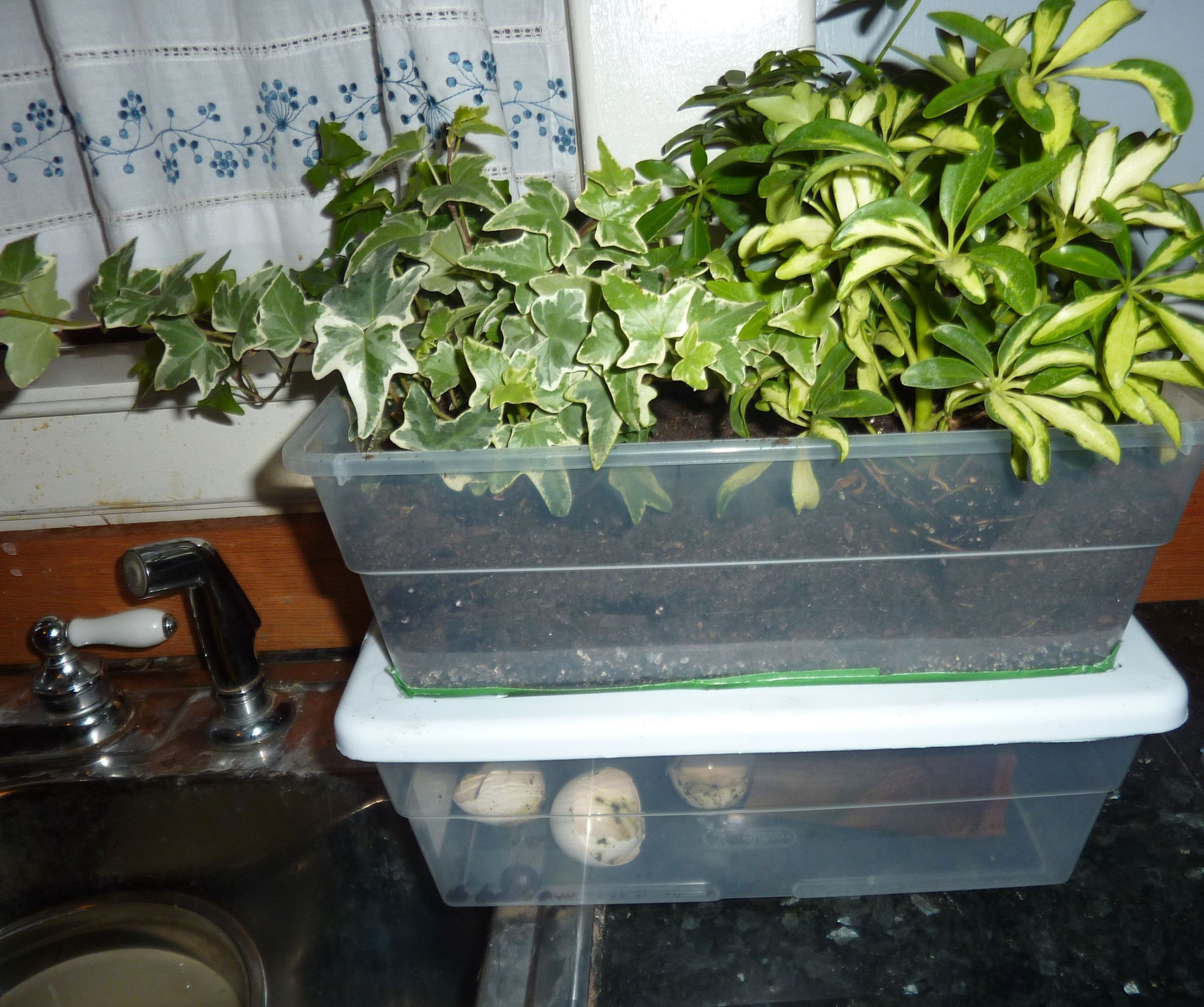 Nice Smelling Hybrid Indoor Compost Bin and Planter