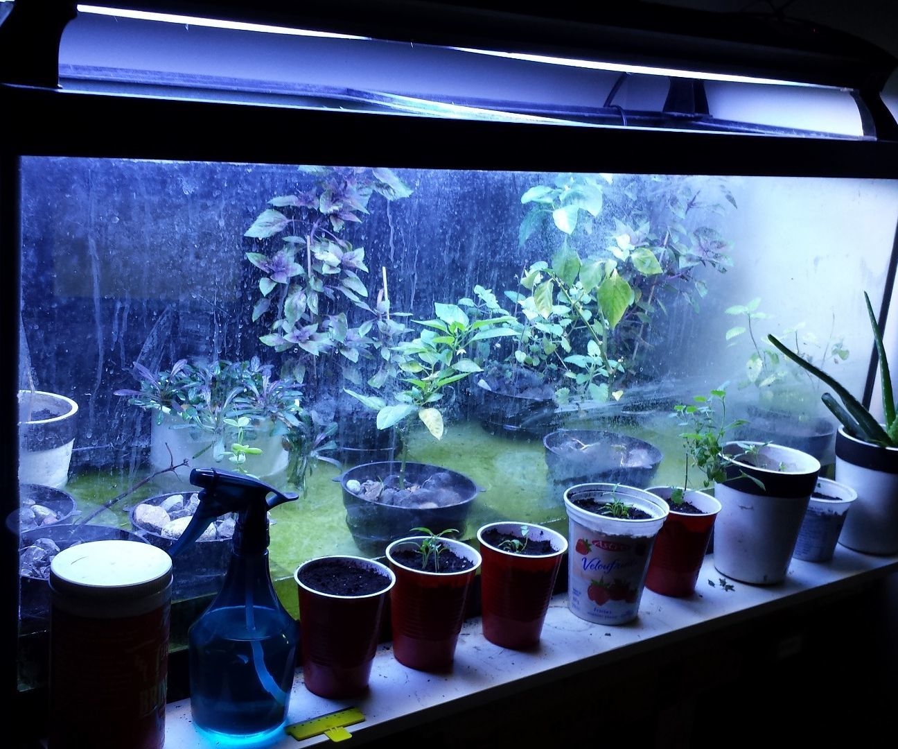 Unbelievably Simple Aquaponics