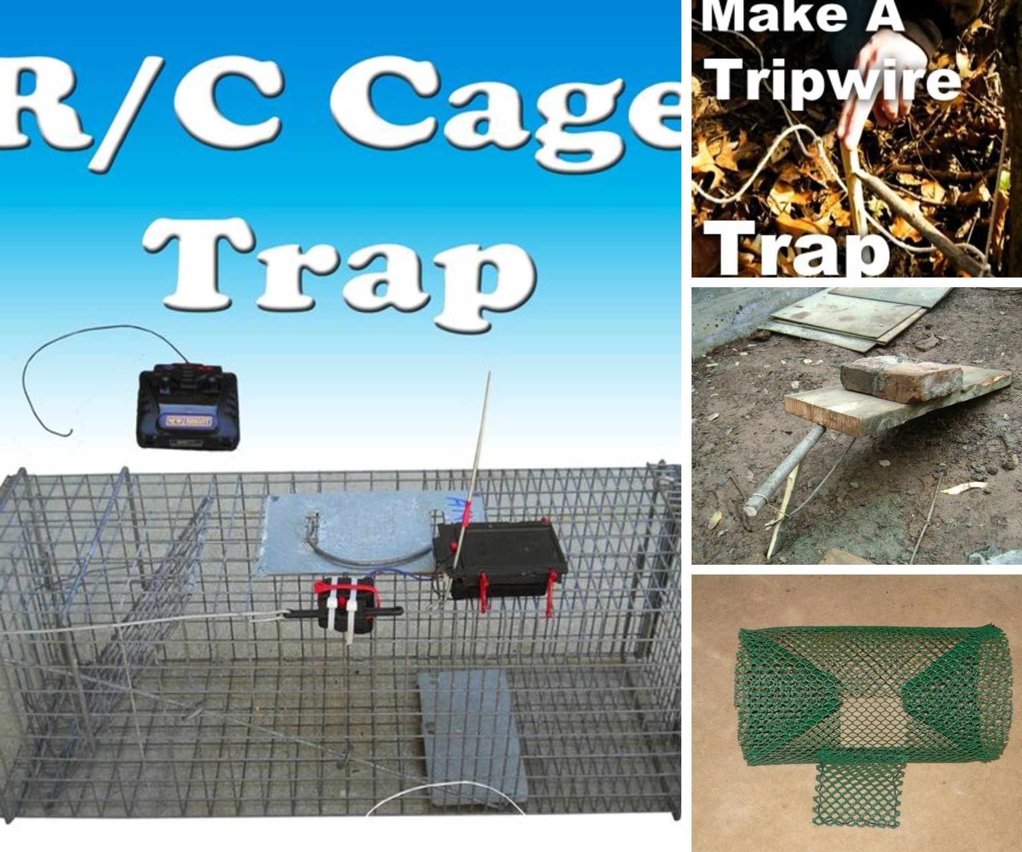 Traps and Snares.