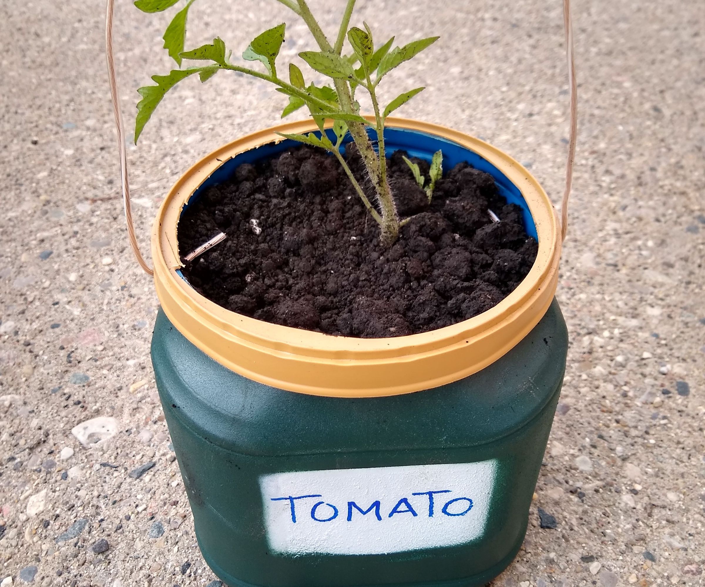 Upcycled Coffee Can Planter