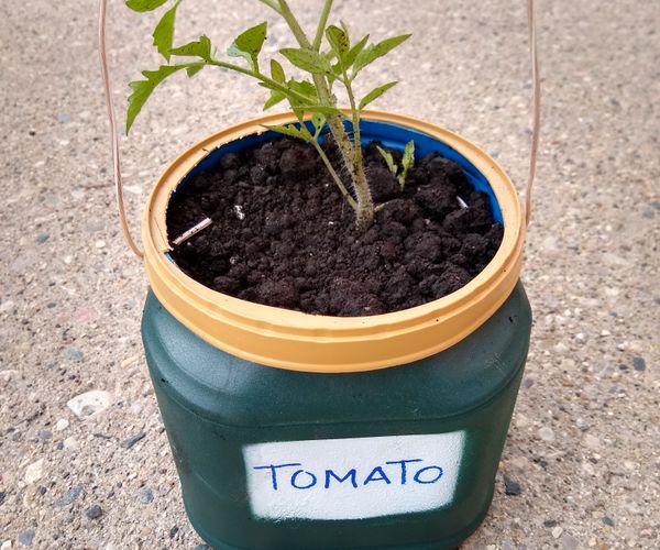 Upcycled Coffee Can Planter