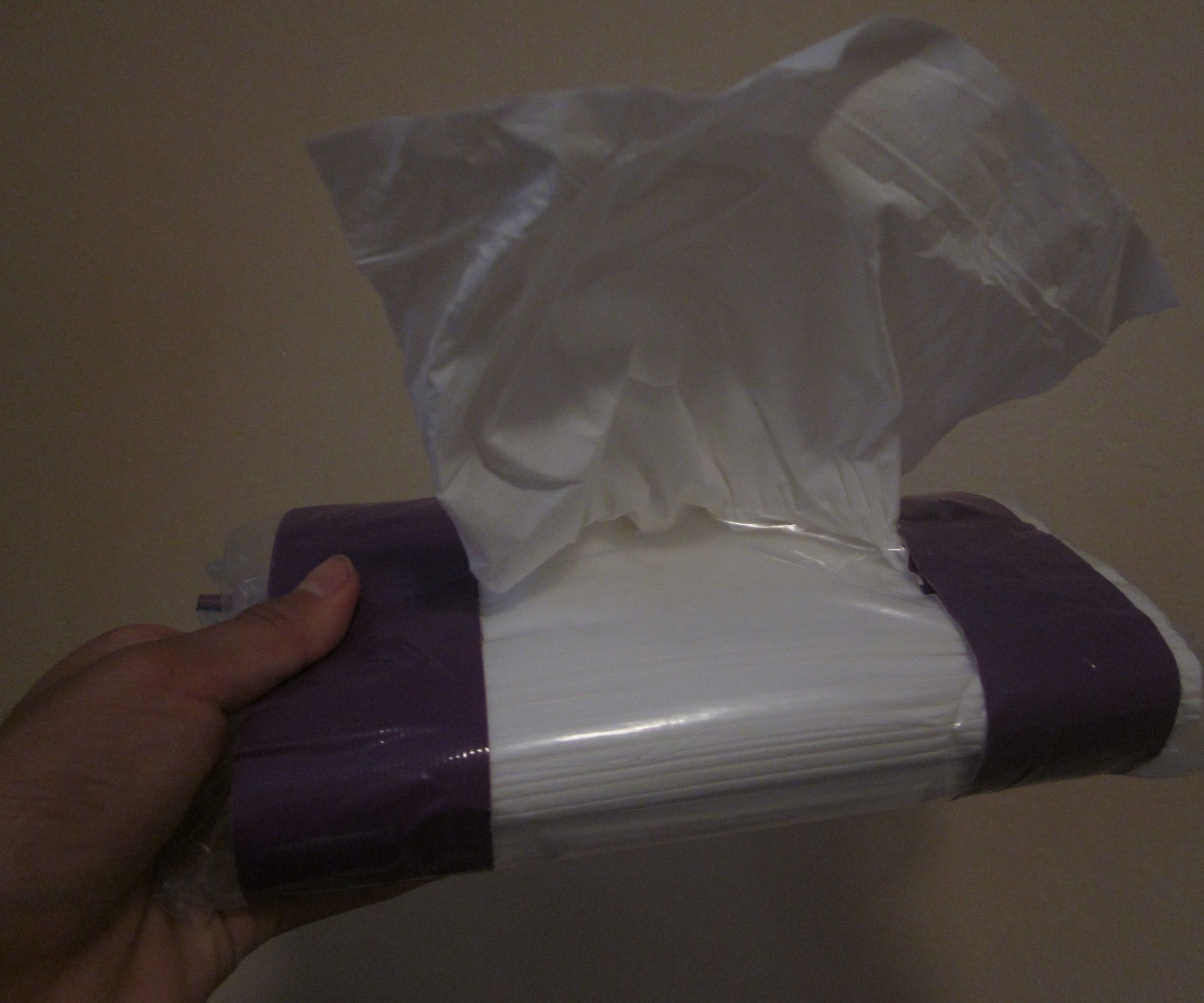 DIY Makeshift Tissue Box/Holder
