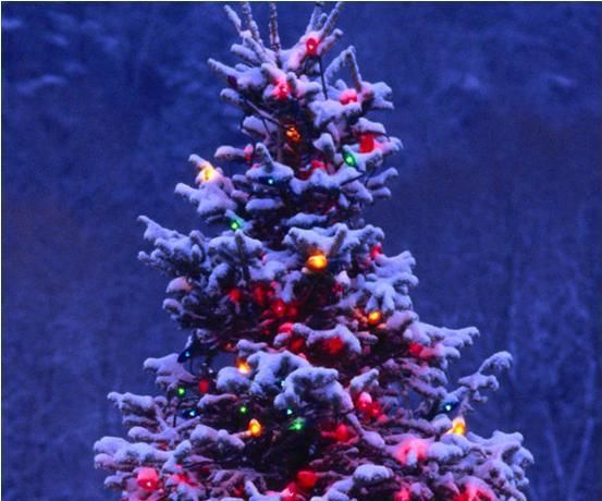 Arduino Micro Low Power Christmas Lights