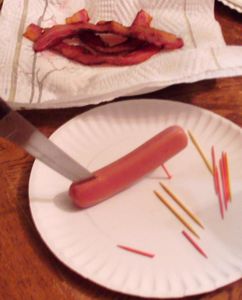 Bacon-bi-plane