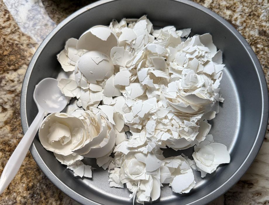 Making Pot Using Eggshell Exploring Eggshell Ceramics : 10 Steps (with Pictures) - Instructables