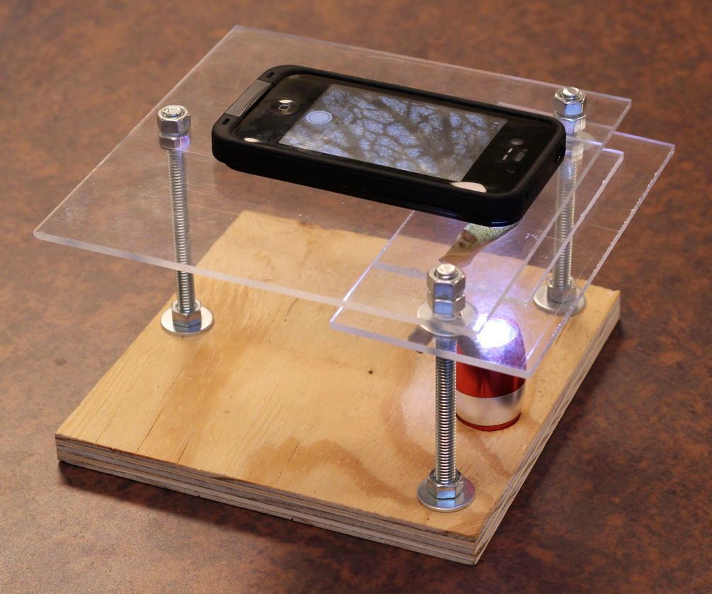 ¡Cómo convertir tu smartphone en un microscopio digital por menos de $10!