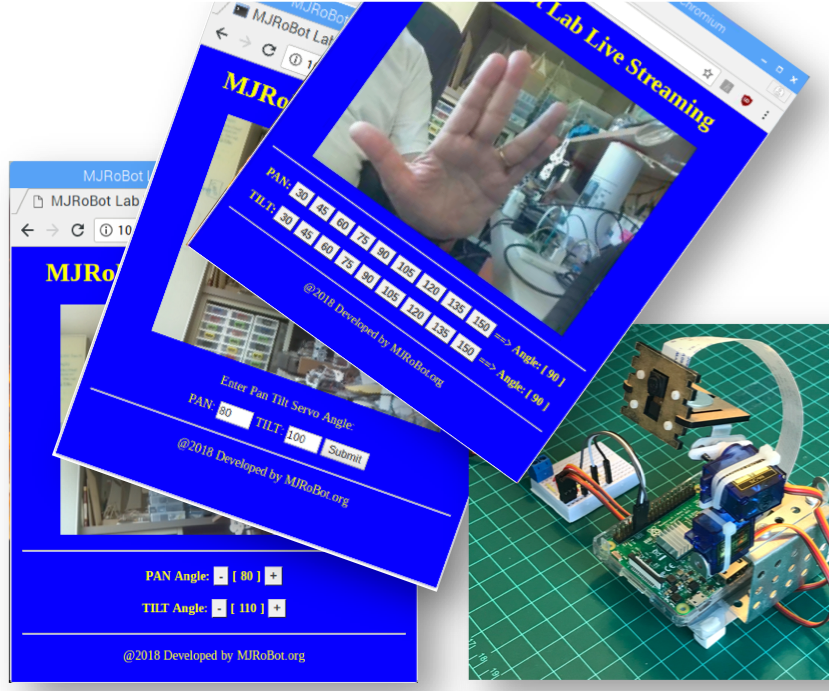 Raspberry Pi Cam Pan-Tilt Control Over Local Internet