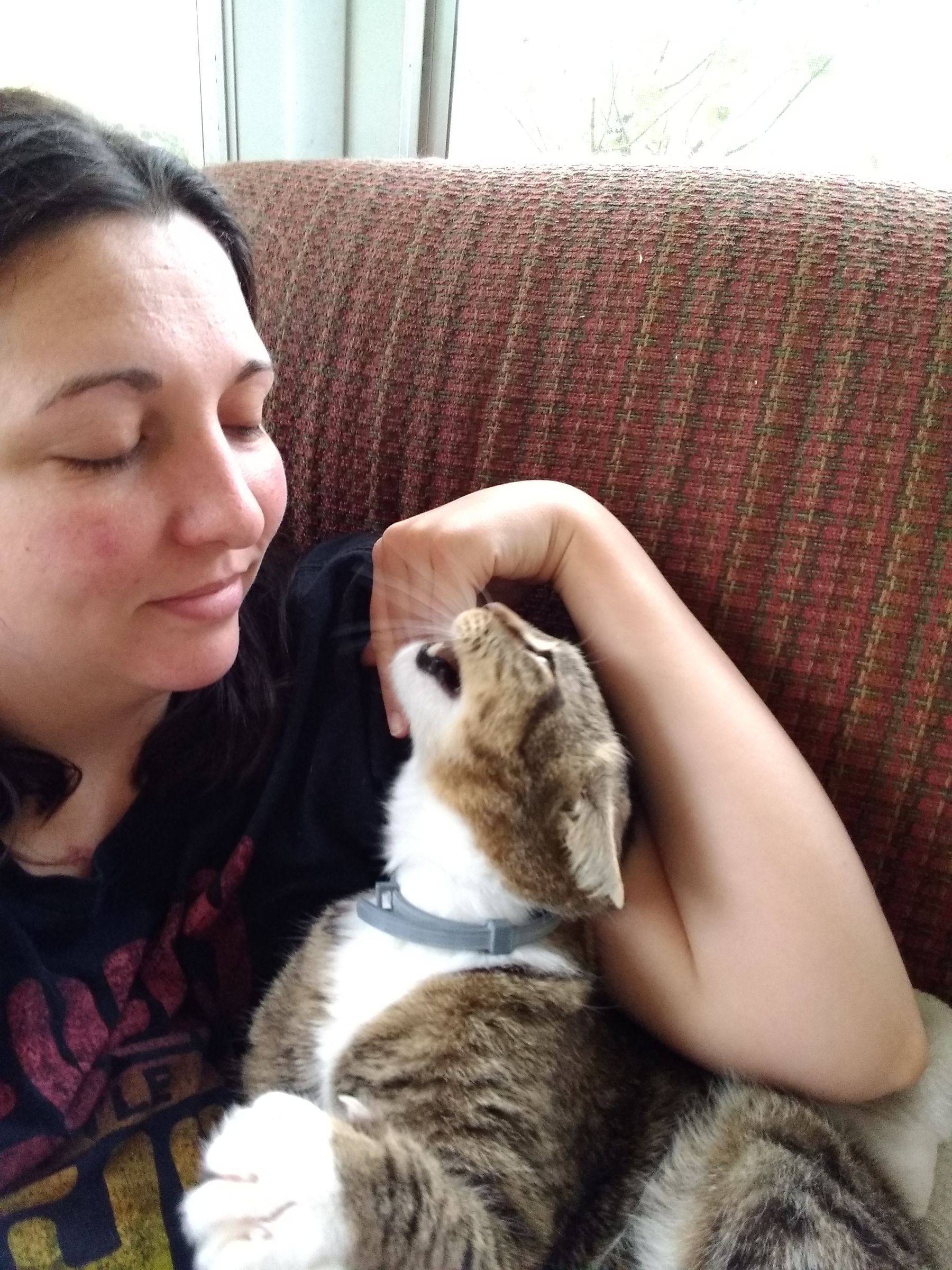 How To Lull Your Cat to Sleep 14 Steps (with Pictures) Instructables