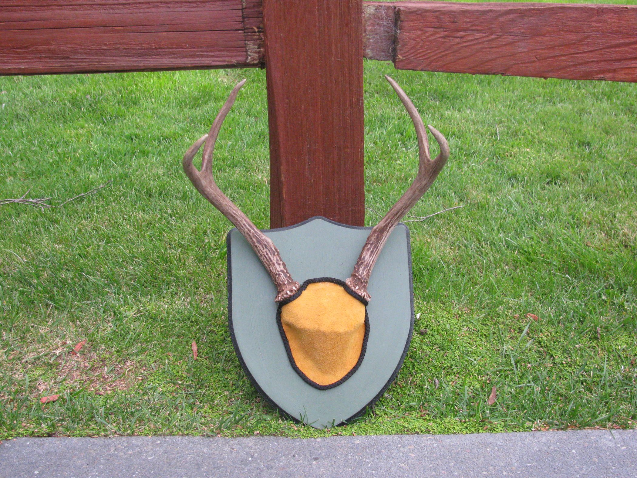 How to Mount Deer Antlers Instructables