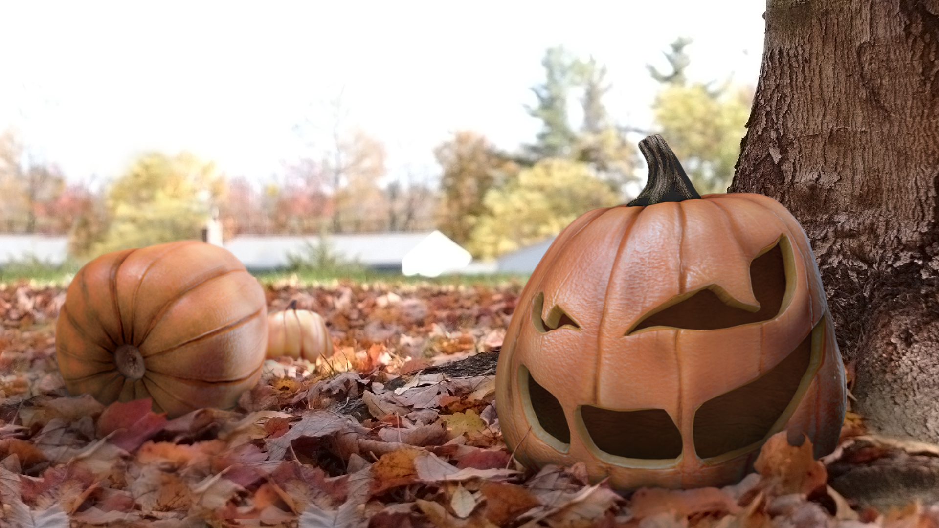Jack O' Lantern