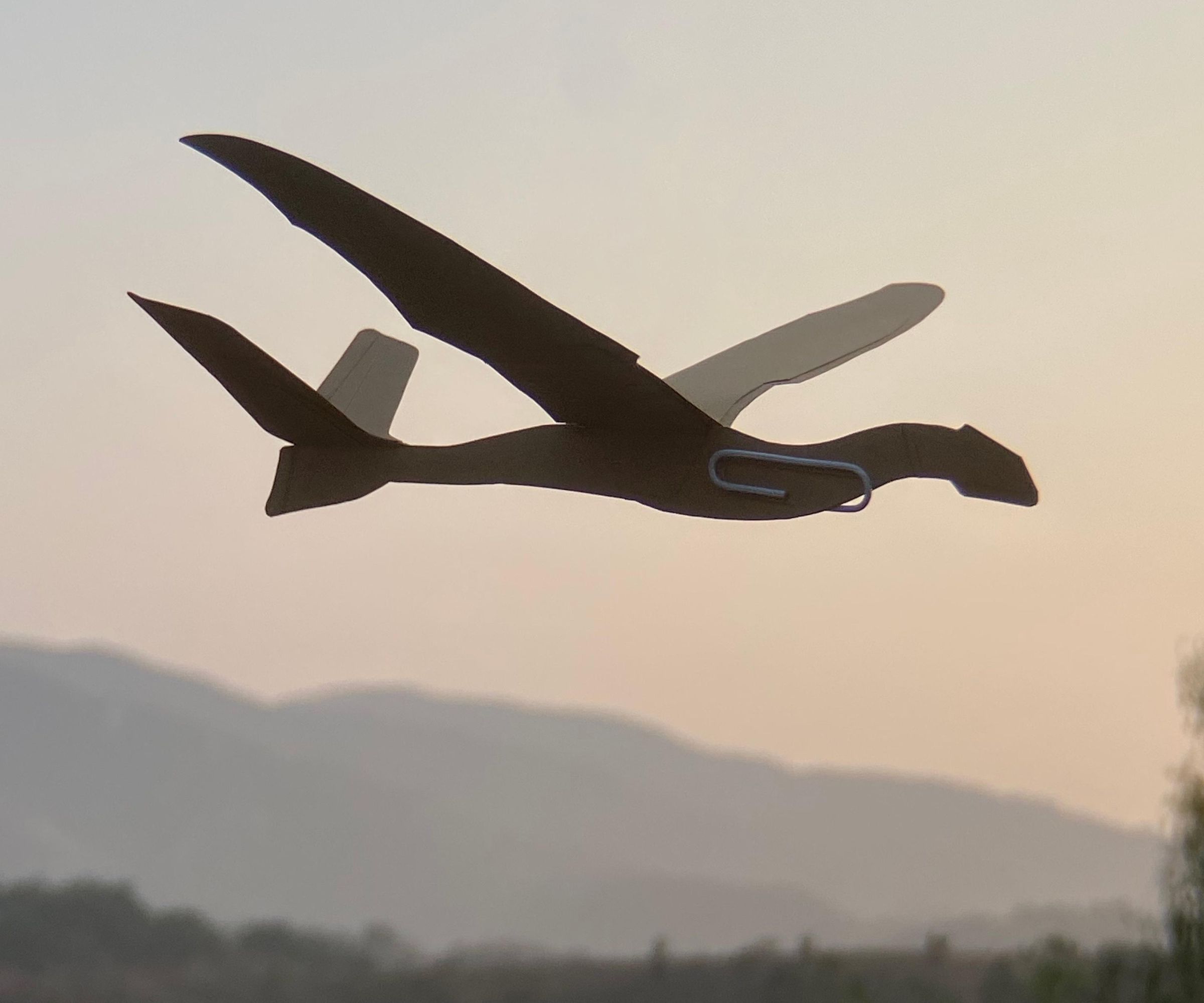 Card Stock Flying Dragon Paper Airplane 
