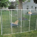 Cat Enclosure