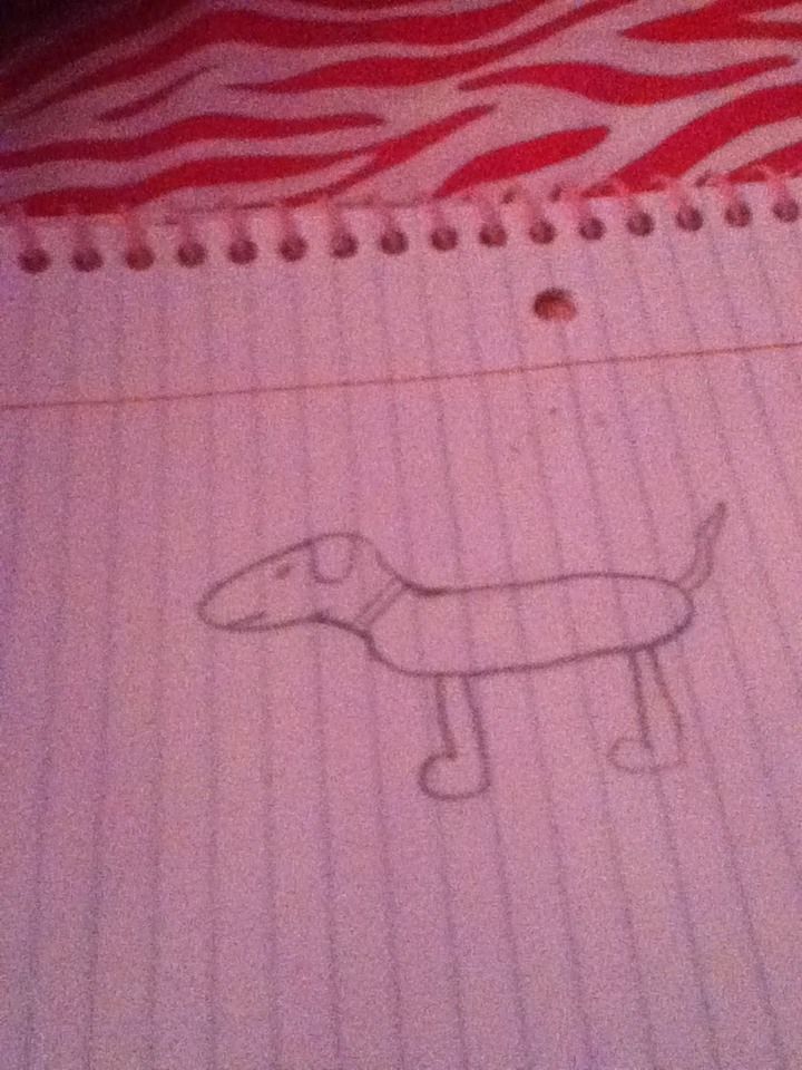 How to Draw a Dog
