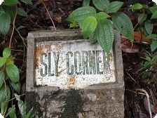 sly-corner