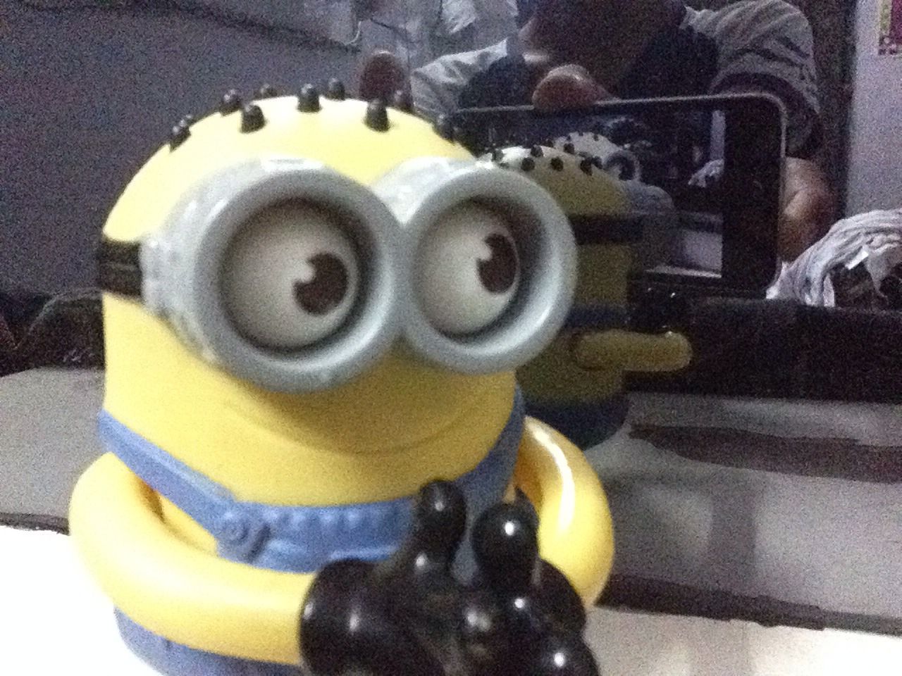 Minion Ipod Holder